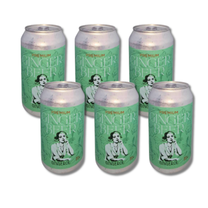 Pack X6 Gingerol lata 355cc